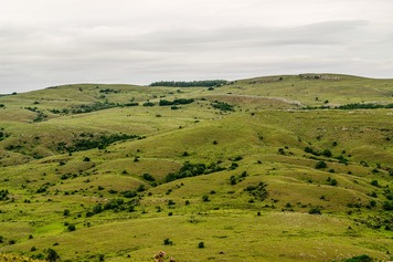 field-6549072_1280_0.jpg